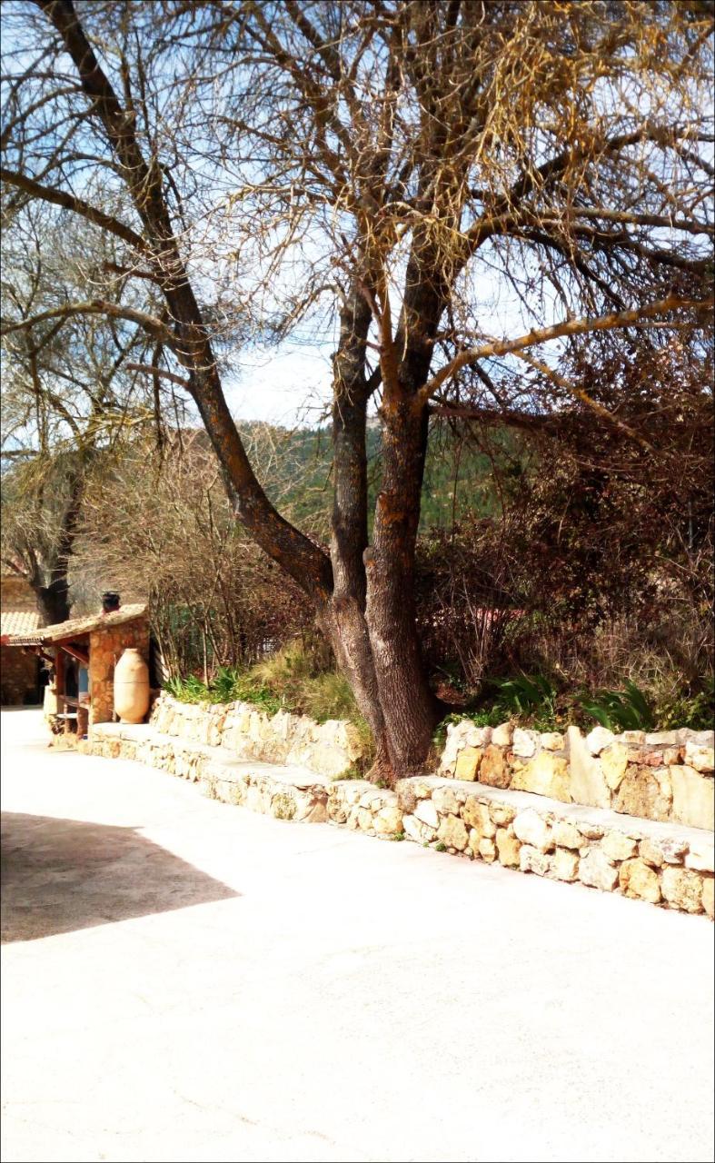 Casas Rurales Picos Del Oso Riópar Εξωτερικό φωτογραφία