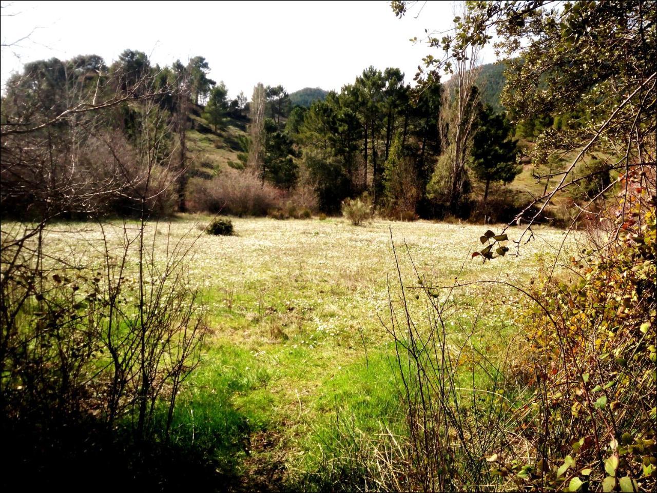 Casas Rurales Picos Del Oso Riópar Εξωτερικό φωτογραφία