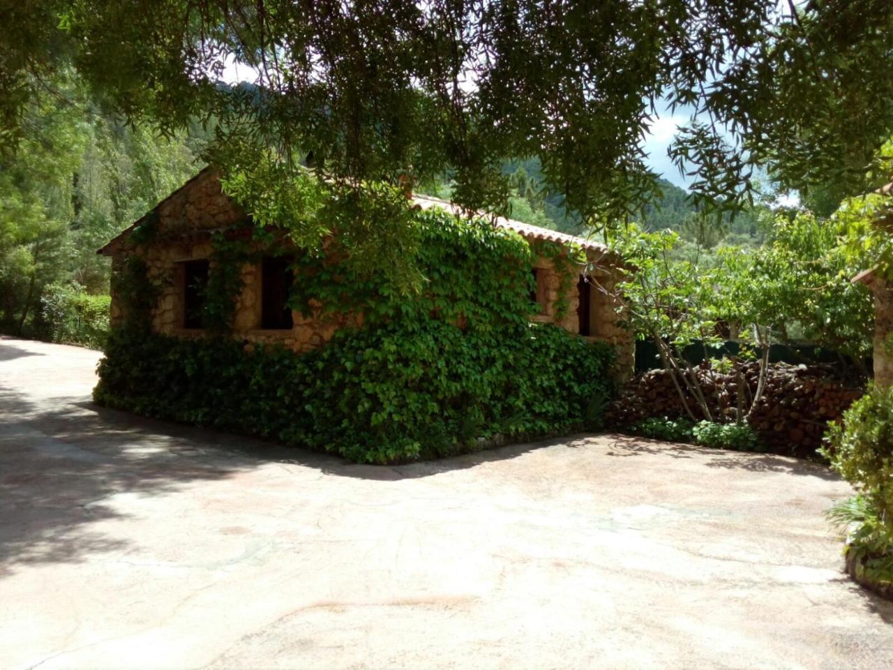 Casas Rurales Picos Del Oso Riópar Εξωτερικό φωτογραφία