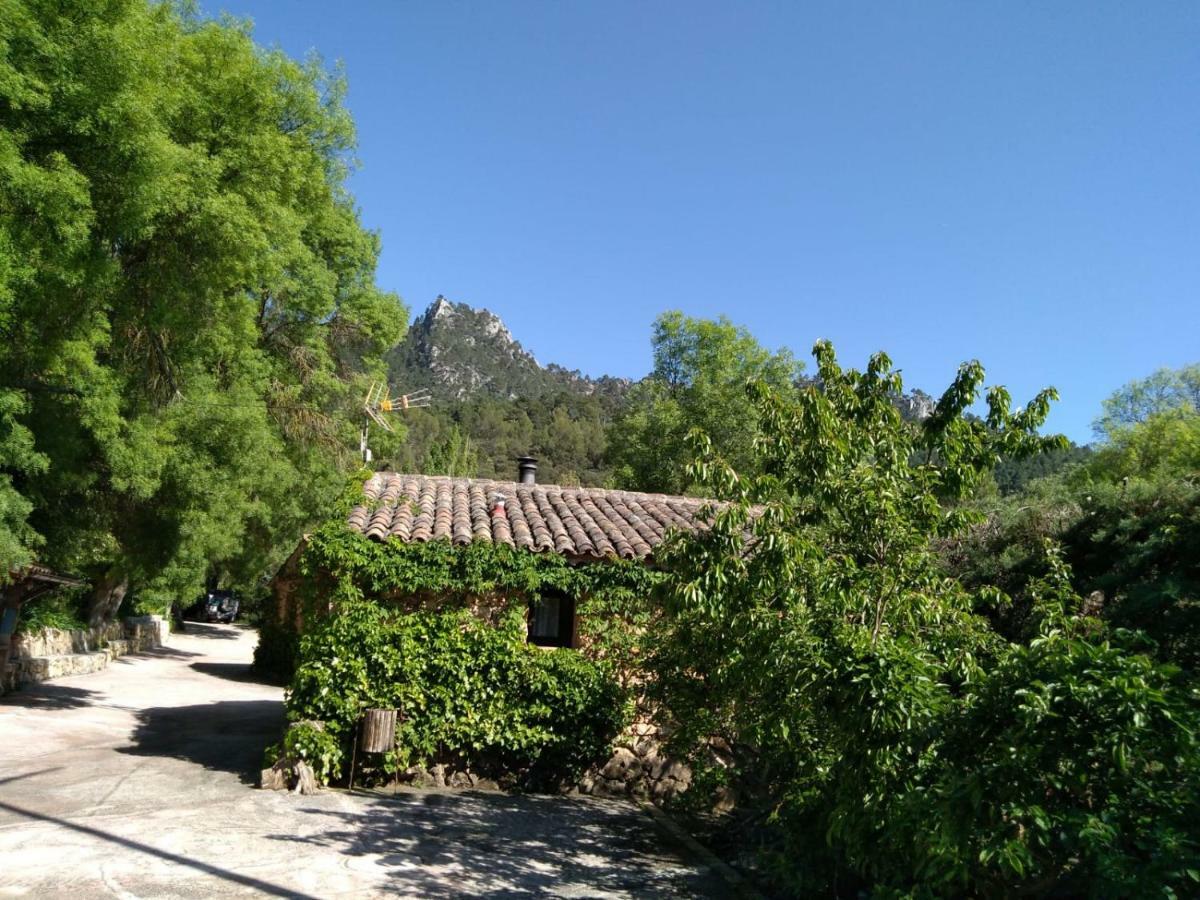Casas Rurales Picos Del Oso Riópar Εξωτερικό φωτογραφία